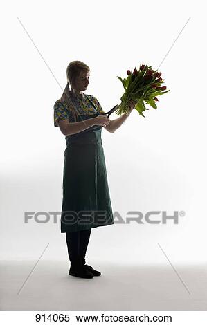 Stock Photography - A florist trimming the stems of a bunch of tulips. Fotosearch
