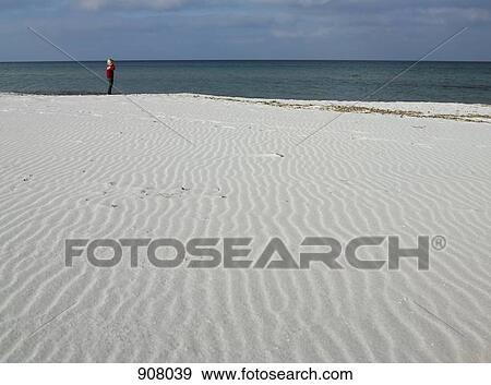 A girl on the beach looking at the ocean View Large Photo Image Stock Photo - A girl on the beach looking at the ocean. Fotosearch