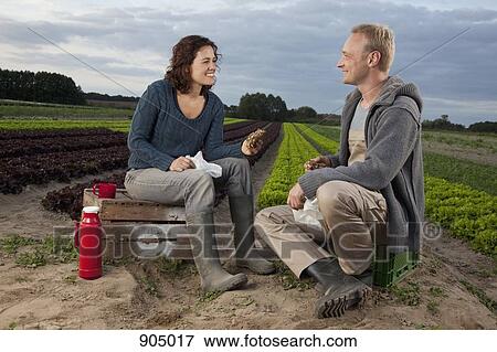A man and a woman having lunch together by a lettuce field View Large Photo Image Stock Photo - A man and a woman having lunch together by a lettuce field. Fotosearch