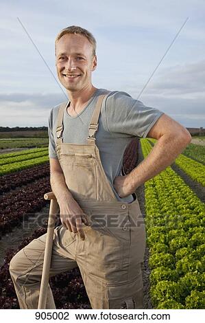 A man leaning on a shovel in a lettuce field View Large Photo Image Stock Image - A man leaning on a shovel in a lettuce field. Fotosearch
