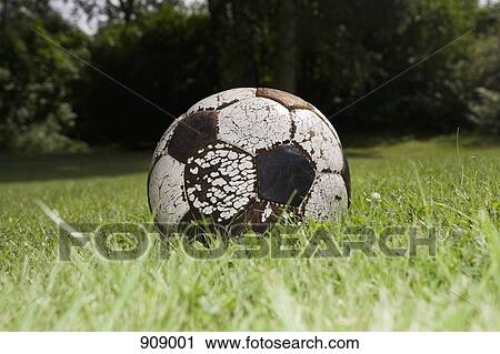 A soccer ball on grass View Large Photo Image Stock Image - A soccer ball on grass. Fotosearch