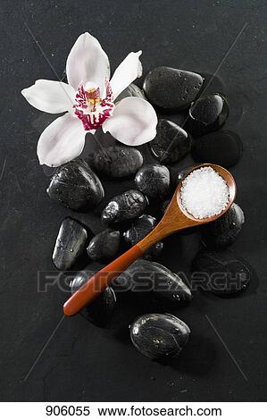 A spoon of mineral salt and an orchid lying on top of hot stone therapy stones View Large Photo Image Stock Photography - A spoon of mineral salt and an orchid lying on top of hot stone therapy stones. Fotosearch