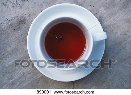 Stock Image - A wasp floating in a cup of tea. Fotosearch