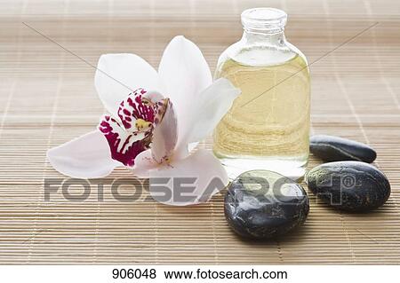 An orchid, aromatherapy oil and hot stone therapy stones on a Tatami mat View Large Photo Image Stock Photo - An orchid, aromatherapy oil and hot stone therapy stones on a Tatami mat. Fotosearch