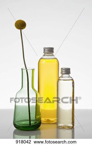 Aromatherapy oil and a vase with a Billybutton Daisy (Craspedia) View Large Photo Image Stock Image - Aromatherapy oil and a vase with a Billybutton Daisy (Craspedia). Fotosearch