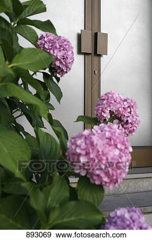 Stock Photo - Detail of a building entrance. Fotosearch