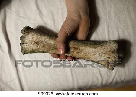 Detail of a person holding a bone View Large Photo Image Stock Photograph - Detail of a person holding a bone. Fotosearch