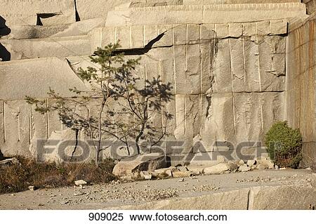 Stock Photography - Detail of rock carvings, Bohuslan, Sweden. Fotosearch