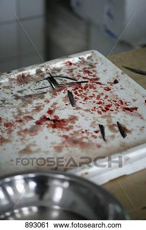 Stock Image - Fish scales and fins on a bloody Polystyrene tray. Fotosearch