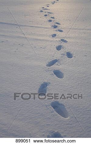 Stock Image - Footprints in the snow. Fotosearch