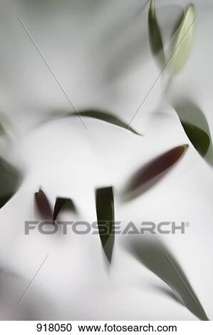Leaves behind frosted glass View Large Photo Image Stock Image - Leaves behind frosted glass. Fotosearch
