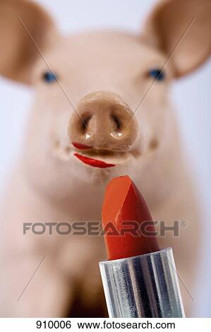 Stock Photograph - Lipstick on a pig. Fotosearch