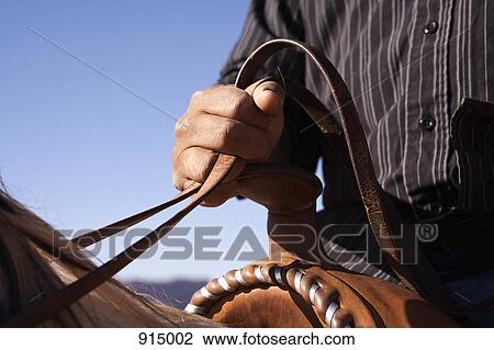 Stock Image - Man holding the reins of horse, close-up, focus on hand. Fotosearch