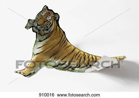 Paper tiger View Large Photo Image Stock Photograph - Paper tiger. Fotosearch