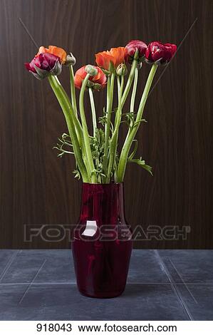 Stock Image - Peonies and Ranunculus flowers in a vase. Fotosearch