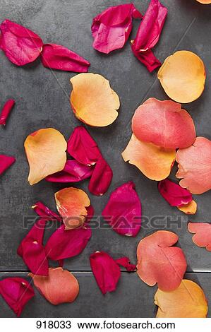 Stock Image - Rose petals strewn on the floor. Fotosearch