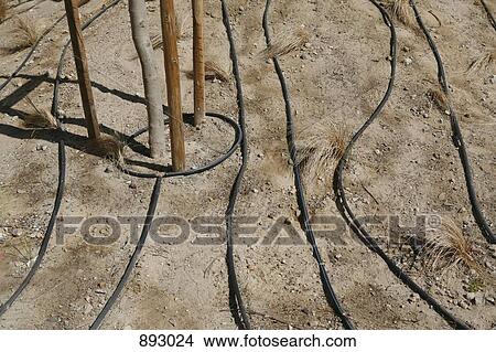 Picture - Several power cables in a row, outdoors. Fotosearch