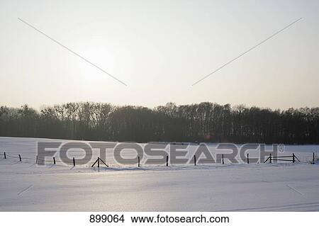 Snow covered field View Large Photo Image Picture - Snow covered field. Fotosearch