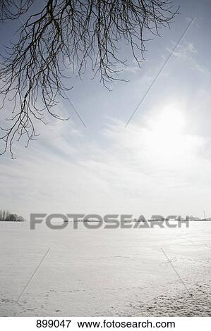 Snow covered field View Large Photo Image Stock Photo - Snow covered field. Fotosearch