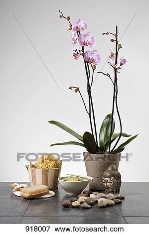 Stock Photo - Spa still life. Fotosearch