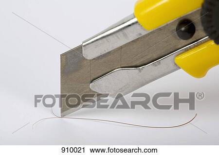 Split hairs View Large Photo Image Stock Image - Split hairs. Fotosearch