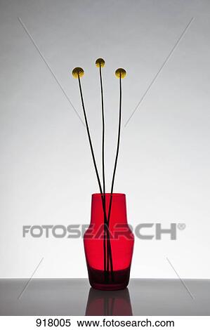 Stock Photography - Three Billybutton Daisies (Craspedia). Fotosearch