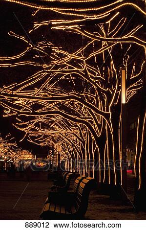 Trees decorated with lights, Unter Den Linden, Berlin, Germany View Large Photo Image Stock Image - Trees decorated with lights, Unter Den Linden, Berlin, Germany. Fotosearch