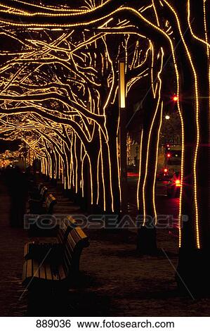 Stock Photograph - Trees decorated with lights, Unter Den Linden, Berlin, Germany. Fotosearch