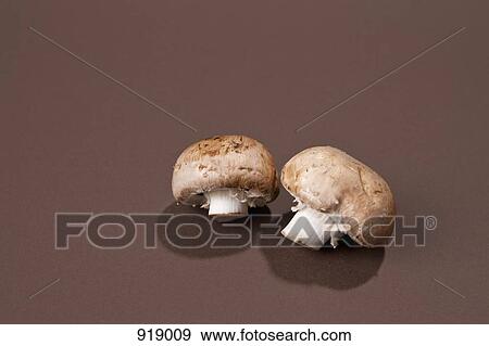 Two mushrooms View Large Photo Image Stock Photo - Two mushrooms. Fotosearch