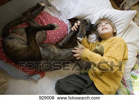 A boy lying on a bed with a dog View Large Photo Image Stock Photo - A boy lying on a bed with a dog. Fotosearch