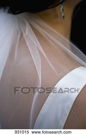 Stock Photography - A bride wearing a veil, detail of shoulder and neck, rear view. Fotosearch