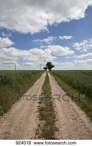 A dirt road, diminishing perspective View Large Photo Image Stock Photo - A dirt road, diminishing perspective. Fotosearch