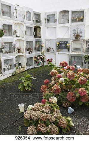 A garden and stacked tombs in a cemetery View Large Photo Image Picture - A garden and stacked tombs in a cemetery. Fotosearch