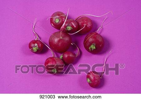 A group of radishes on a pink background View Large Photo Image Stock Image - A group of radishes on a pink background. Fotosearch