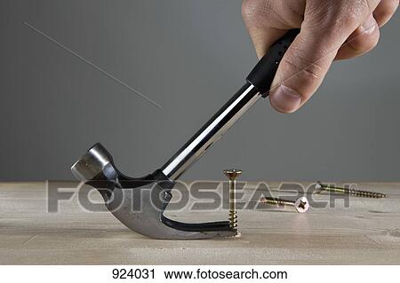A man using a claw hammer to pull out a nail, detail of hand View Large Photo Image Stock Image - A man using a claw hammer to pull out a nail, detail of hand. Fotosearch