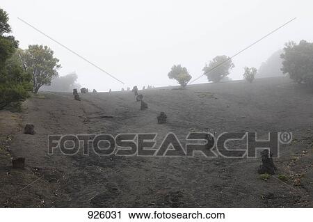 A misty hillside View Large Photo Image Stock Image - A misty hillside. Fotosearch