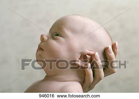 A mother's hand cradling her baby's head View Large Photo Image Stock Photograph - A mother's hand cradling her baby's head. Fotosearch