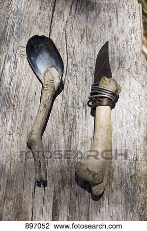 Stock Image - A primitive spoon and knife made from bone and shell. Fotosearch