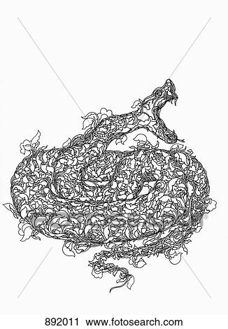 A rattlesnake View Large Photo Image Stock Image - A rattlesnake. Fotosearch