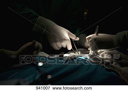 A surgery team operating on a patient in an operating room, focus on hands View Large Photo Image Stock Photo - A surgery team operating on a patient in an operating room, focus on hands. Fotosearch