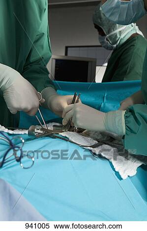 A surgery team operating on a patient in an operating room, focus on hands View Large Photo Image Stock Photography - A surgery team operating on a patient in an operating room, focus on hands. Fotosearch