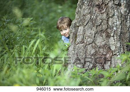 Stock Photography - A young boy peeking from behind a tree trunk. Fotosearch