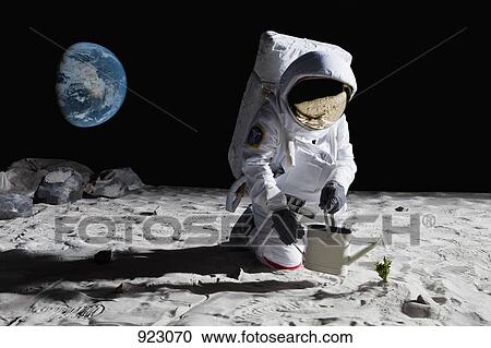 An astronaut gardening on the moon View Large Photo Image Stock Image - An astronaut gardening on the moon. Fotosearch
