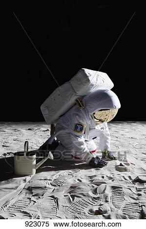 An astronaut gardening on the moon View Large Photo Image Stock Photography - An astronaut gardening on the moon. Fotosearch