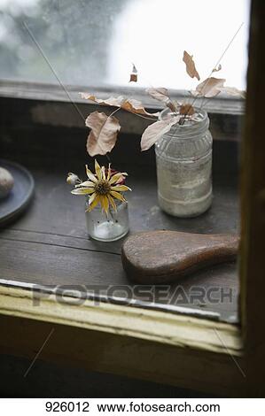Detail of a dried flower and leaves in jars on a window sill View Large Photo Image Stock Image - Detail of a dried flower and leaves in jars on a window sill. Fotosearch