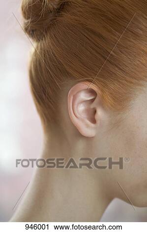 Detail of a redheaded woman's ear and neck View Large Photo Image Stock Image - Detail of a redheaded woman's ear and neck. Fotosearch