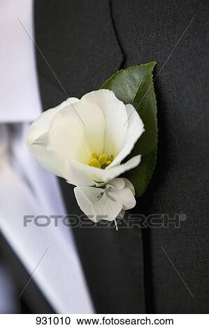 Detail of a white flower boutonniere on a jacket lapel View Large Photo Image Stock Image - Detail of a white flower boutonniere on a jacket lapel. Fotosearch
