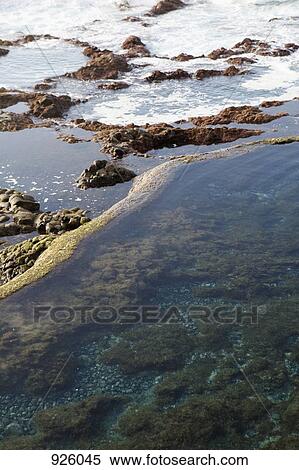 Stock Photography - Detail of rock pools. Fotosearch