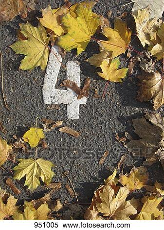 Leaves surrounding the number 4 painted on asphalt View Large Photo Image Stock Photography - Leaves surrounding the number 4 painted on asphalt. Fotosearch