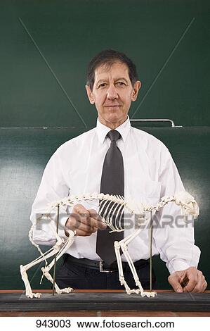 Stock Image - Portrait of a biology teacher with a cat skeleton. Fotosearch